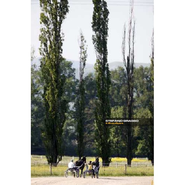 horses in training at Orsi Mangelli training center Anzola Emilia (Bo), 6th may 2008 ph. Stefano Grasso