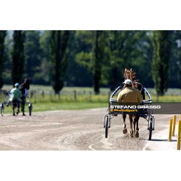 horse in training at Orsi Mangelli training center Anzola Emilia (Bo), 6th may 2008 ph. Stefano Grasso