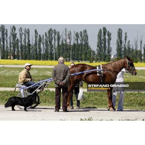 horse in training at Orsi Mangelli training center Anzola Emilia (Bo), 6th may 2008 ph. Stefano Grasso