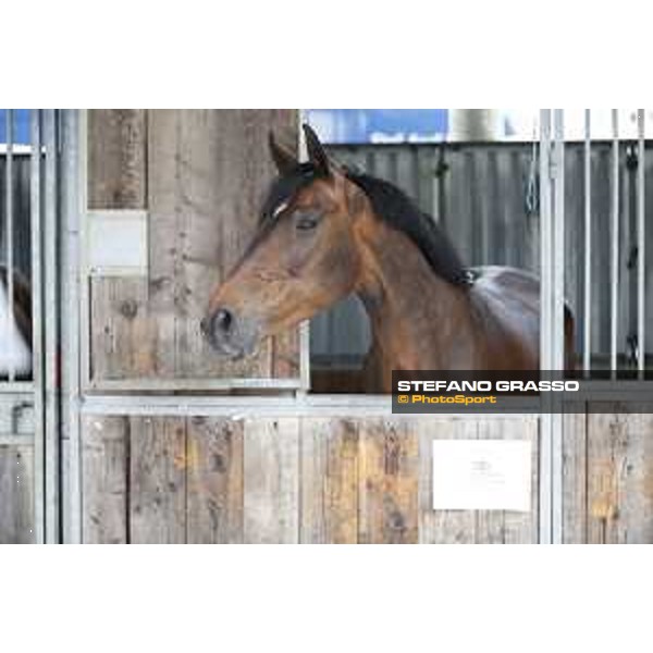 LGCT of Cannes - Behind the scenes - Hello Mr President - Cannes, Stade des Hesperides - 6 June 2018 - ph.Stefano Grasso/LGCT