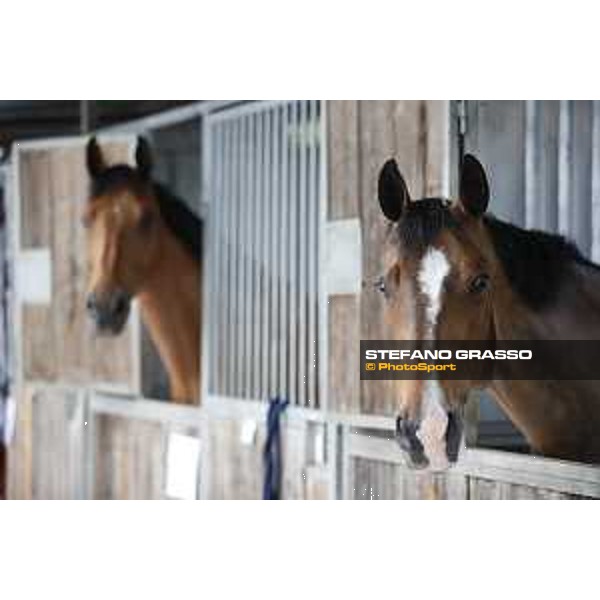 LGCT of Cannes - Behind the scenes - - Cannes, Stade des Hesperides - 6 June 2018 - ph.Stefano Grasso/LGCT