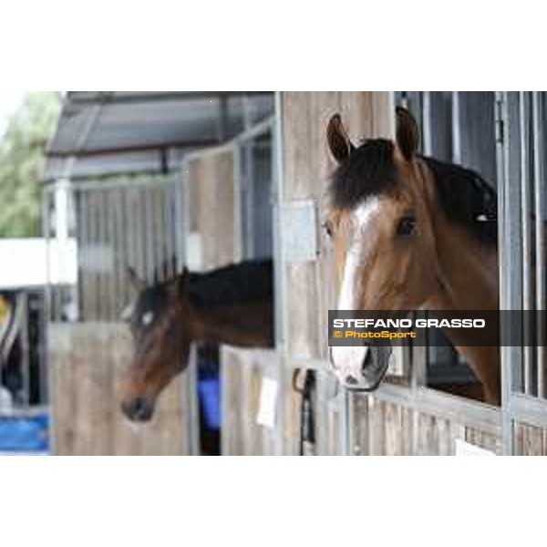 LGCT of Cannes - Behind the scenes - - Cannes, Stade des Hesperides - 6 June 2018 - ph.Stefano Grasso/LGCT