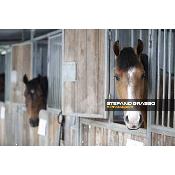LGCT of Cannes - Behind the scenes - - Cannes, Stade des Hesperides - 6 June 2018 - ph.Stefano Grasso/LGCT
