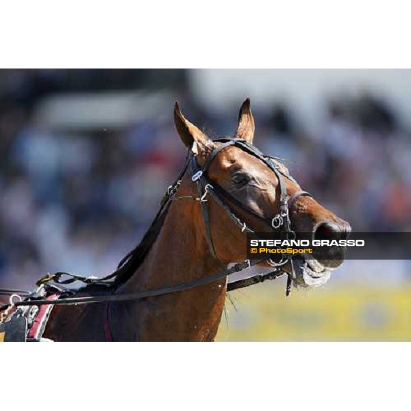Gambling Bi at Gran Premio Lotteria Napoli, 4th may 2008 ph. Stefano Grasso