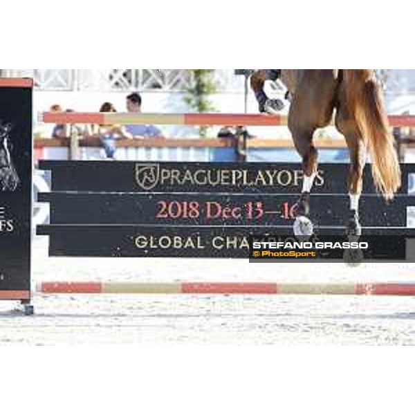 LGCT of Cannes - Horse legs jumping - Cannes, Stade des Hesperides - 9 June 2018 - ph.Stefano Grasso/LGCT