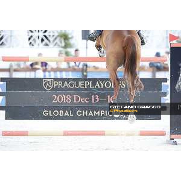 LGCT of Cannes - Horse legs jumping - Cannes, Stade des Hesperides - 9 June 2018 - ph.Stefano Grasso/LGCT
