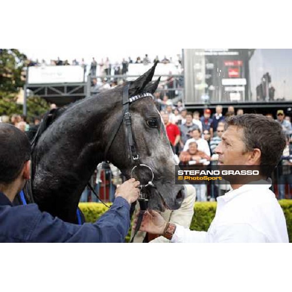 close up for Cima de Triomphe winner of the 125¡ DErby Italiano Rome, 11th may 2008 ph. Stefano Grasso