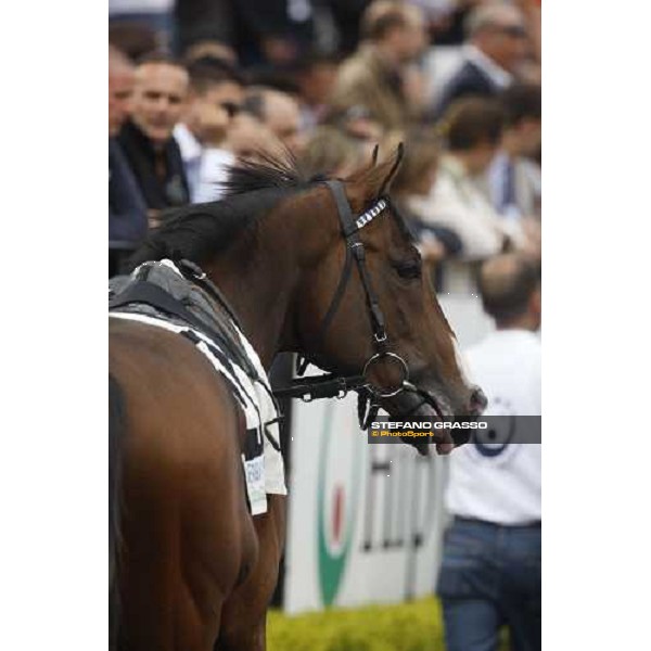 Farrel parades before the 125¡ Derby Italiano Rome, 11th may 2008 ph. Stefano Grasso