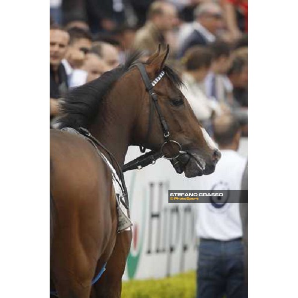 Farrel parades before the 125¡ Derby Italiano Rome, 11th may 2008 ph. Stefano Grasso