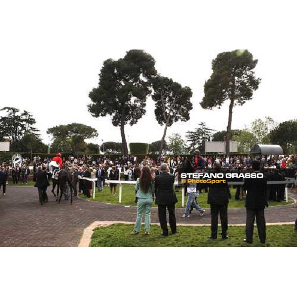 the parade ring of the 125¡ Derby Italiano Rome, 11th may 2008 ph. Stefano Grasso