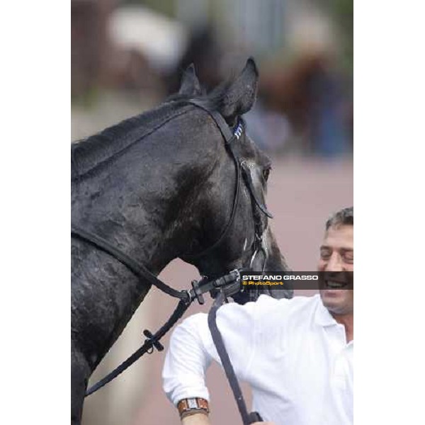 the happy groom of Cima de Triomphe after winning the 125¡ Derby Italiano Rome,11 th may 2008 ph. Stefano Grasso