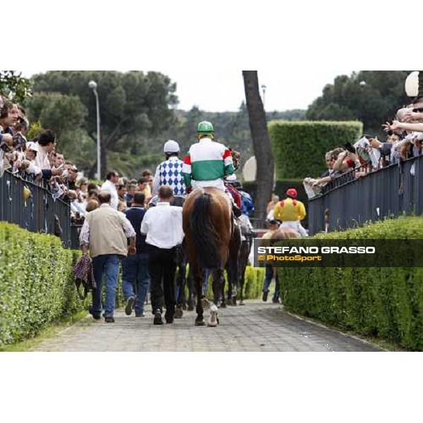 the horses come back to the stable after the race Rome, 11th may 2008 ph. Stefano Grasso