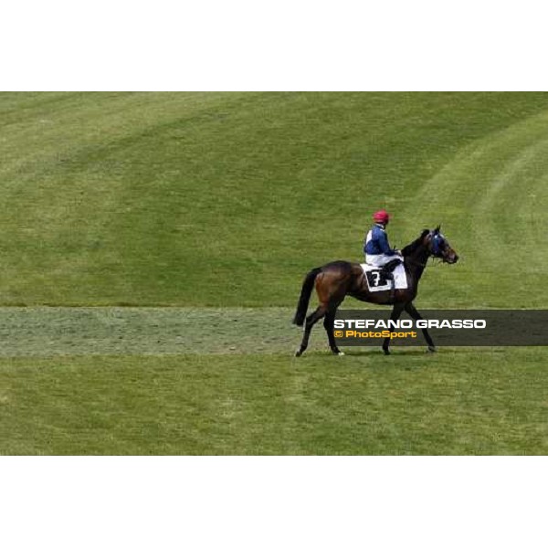 Dario Vargiu on Sure Danzig goes to the start Rome, 11th may 2008 ph. Stefano Grasso