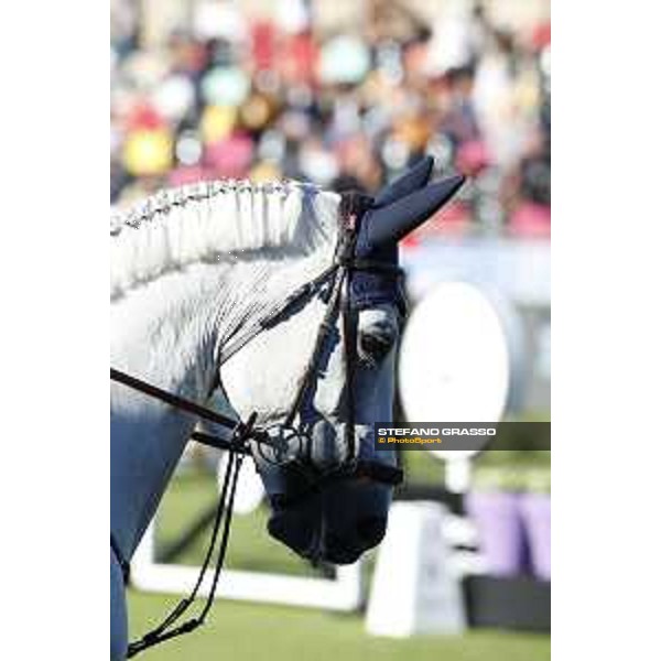 LGCT of Cascais-Estoril - Class 1 - Bertram Allen (IRL) on Hector van d?Abdijhoeve - Cascais-Estoril, Hipodromo Manuel Possolo, 14 June 2018 - ph.Stefano Grasso/LGCT