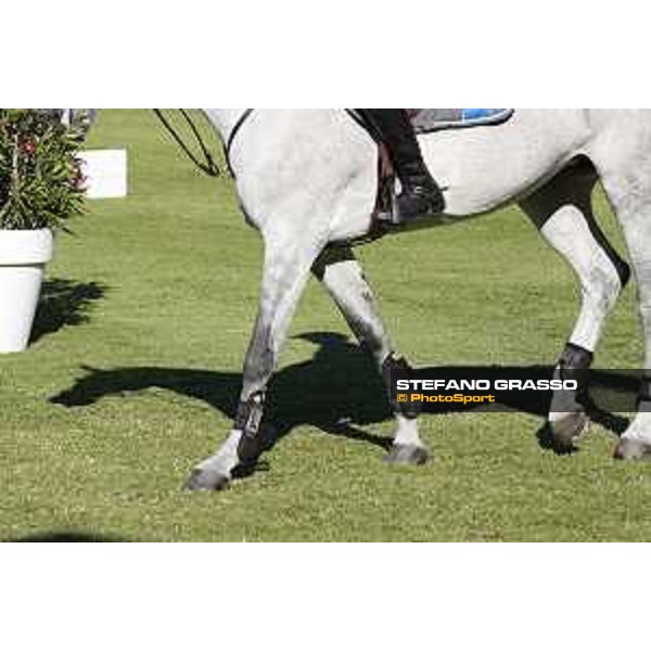 LGCT of Cascais-Estoril - Shadows - Cascais-Estoril, Hipodromo Manuel Possolo, 14 June 2018 - ph.Mario Grassia/LGCT