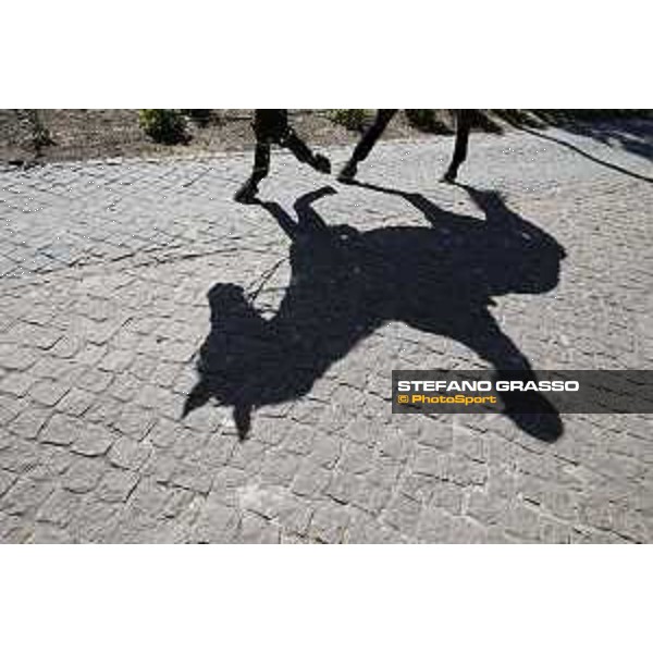 LGCT of Cascais-Estoril - Shadows - Cascais-Estoril, Hipodromo Manuel Possolo, 16 June 2018 - ph.Mario Grassia/LGCT