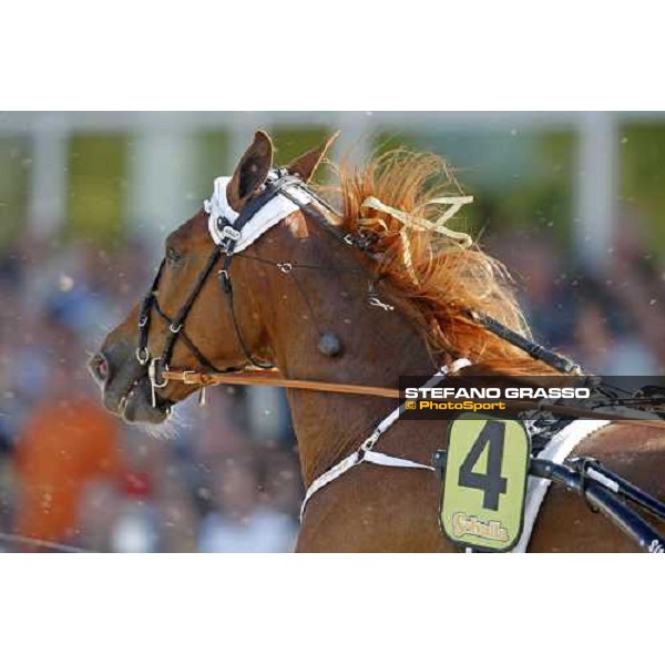 racing at Solvalla Stoccolma, 24th may 2008 ph. Stefano Grasso