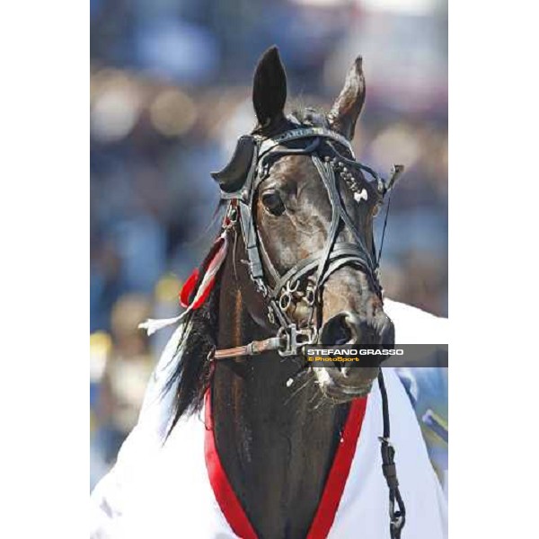 close up for Scarlets Aino winner of the 1st heat of The Sweden Cup Stoccolma, 24th may 2008 ph. Stefano Grasso