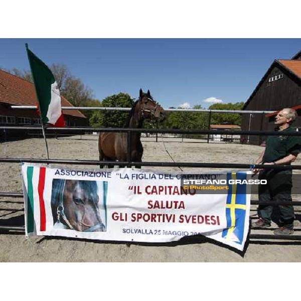 Varenne at Mennhamar Stuteri Ekero, 24th may 2008 ph. Stefano Grasso