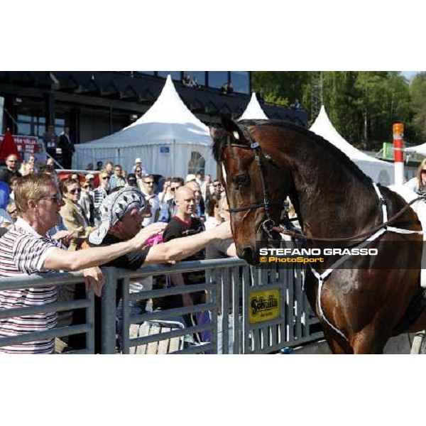 Varenne and Giampaolo Minnucci parades in front of the racegoers at Solvalla Solvalla, 25th may 2008 ph. Stefano Grasso