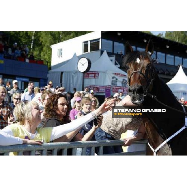 Varenne and Giampaolo Minnucci parades in front of the racegoers at Solvalla Solvalla, 25th may 2008 ph. Stefano Grasso