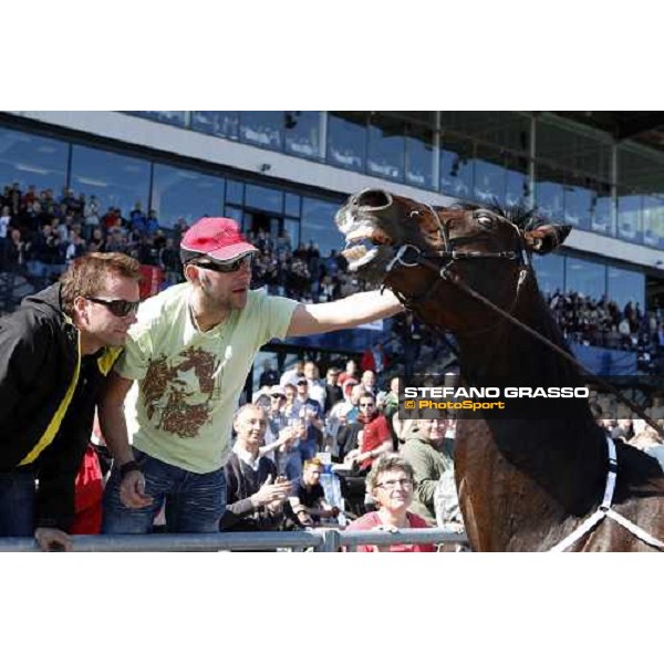 Varenne and Giampaolo Minnucci parades in front of the racegoers at Solvalla Solvalla, 25th may 2008 ph. Stefano Grasso