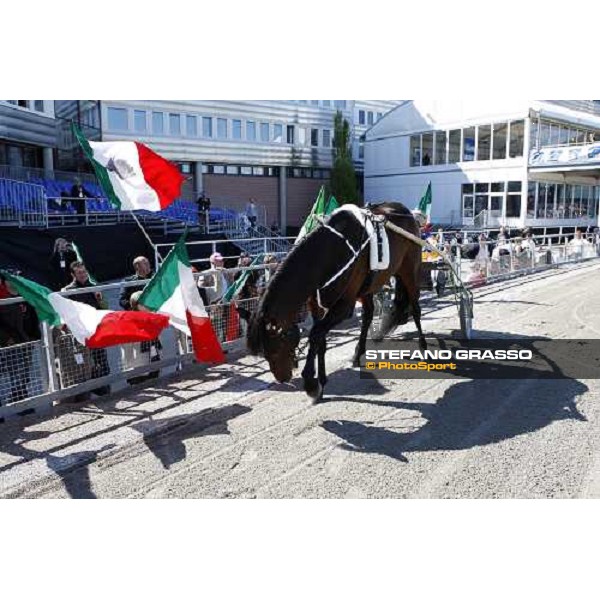 Varenne and Giampaolo Minnucci parades in front of the italian supporters arrived at Solvalla Solvalla, 25th may 2008 ph. Stefano Grasso