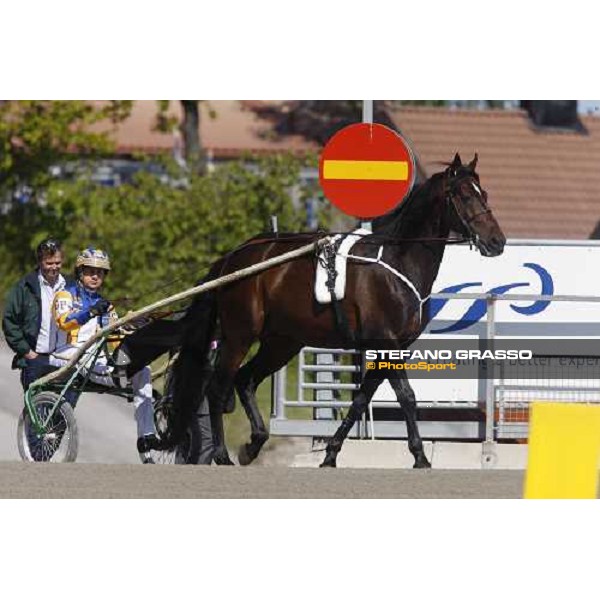 Varenne and Giampaolo Minnucci parades in front of the racegoers at Solvalla Solvalla, 25th may 2008 ph. Stefano Grasso