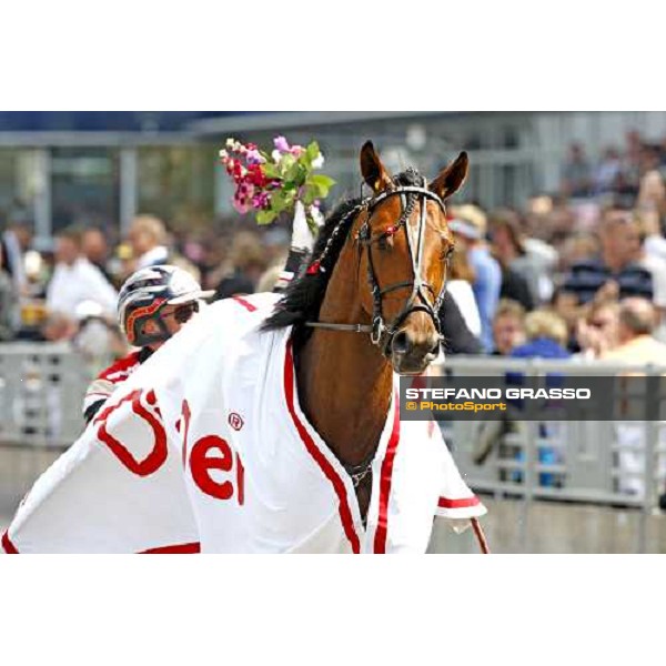 Orjan Kihlstrom parades with Lord Capar after winning the Hakan Wallner Memorial Solvalla, 25th may 2008 ph. Stefano Grasso