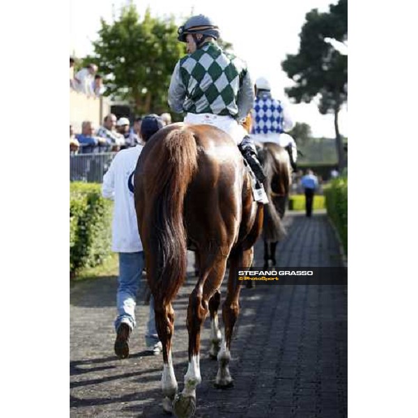 Dario Vargiu comes back on Golden Titus after the Gran Premio Presidente della Repubblica Rome, 18th may 2008 ph. Stefano Grasso