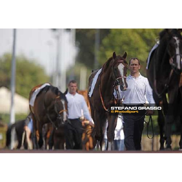 Hattan parading before the Gran Premio Presidente della Repubblica Rome, 18th may 2008 ph. Stefano Grasso