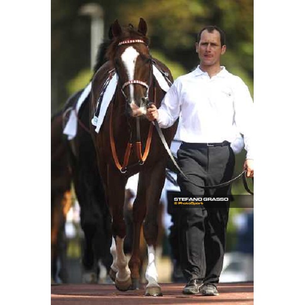 Hattan parading before the Gran Premio Presidente della Repubblica Rome, 18th may 2008 ph. Stefano Grasso