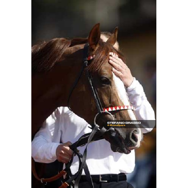 Gran Premio Presidente della Repubblica Rome, 18th may 2008 ph. Stefano Grasso