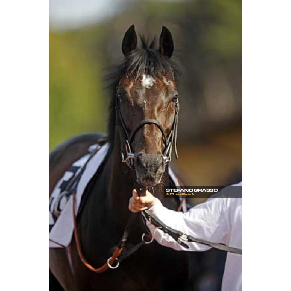 close up for Pressing parading before the Gran Premio Presidente della Repubblica Rome, 18th may 2008 ph. Stefano Grasso