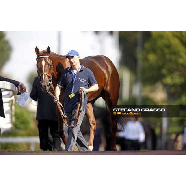 Freemusic parading before the Gran Premio Presidente della Repubblica Rome, 18th may 2008 ph. Stefano Grasso