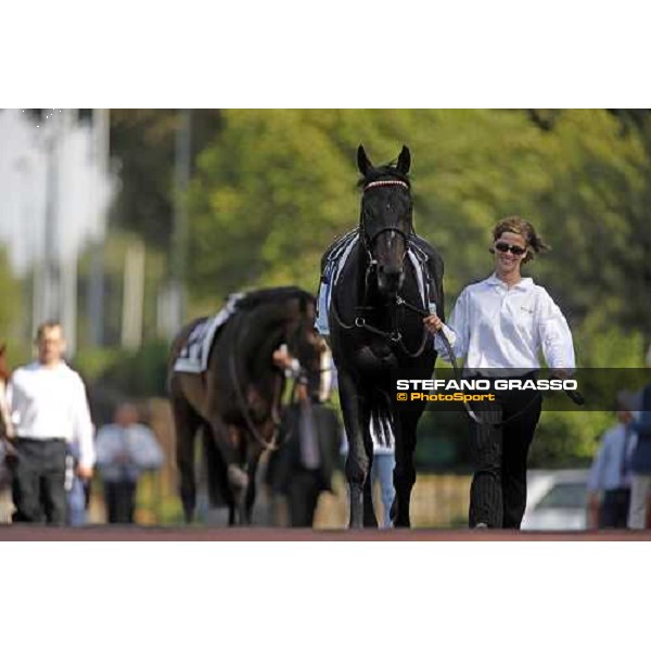 Axxos parading before the Gran Premio Presidente della Repubblica Rome, 18th may 2008 ph. Stefano Grasso