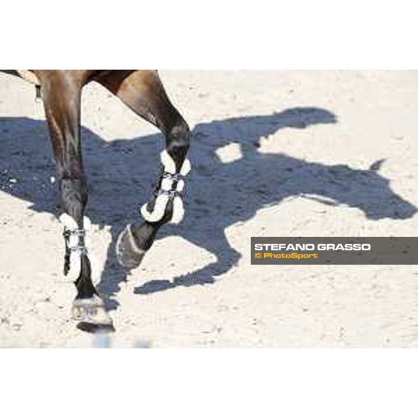LGCT of Monaco - Shadows - Monaco, Port Hercule, 28 June 2018 - ph.Mario Grassia/LGCT