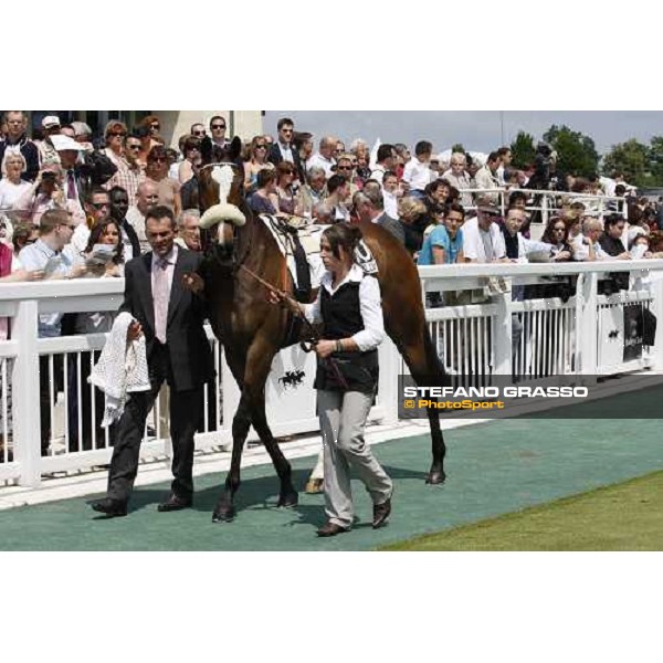 Sub Rose parading before winning the Prix de Royaumont Paris Chantilly, 1st june 2008 ph. Stefano Grasso