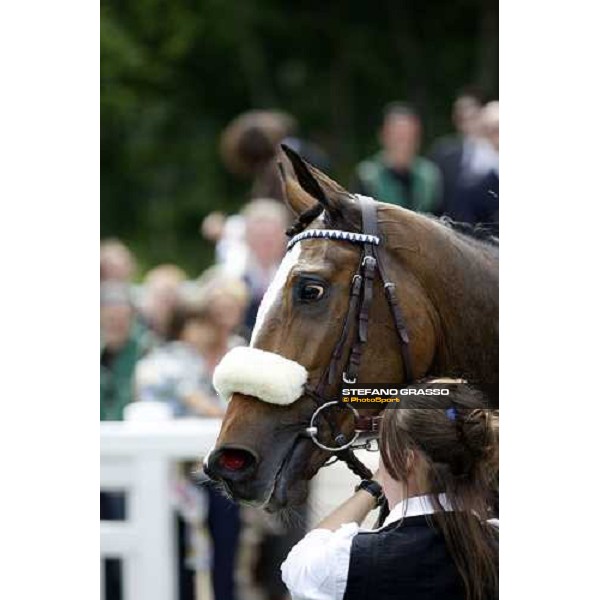 a close up for Sub Rose after winning the Prix de Royaumont Paris Chantilly, 1st june 2008 ph. Stefano Grasso