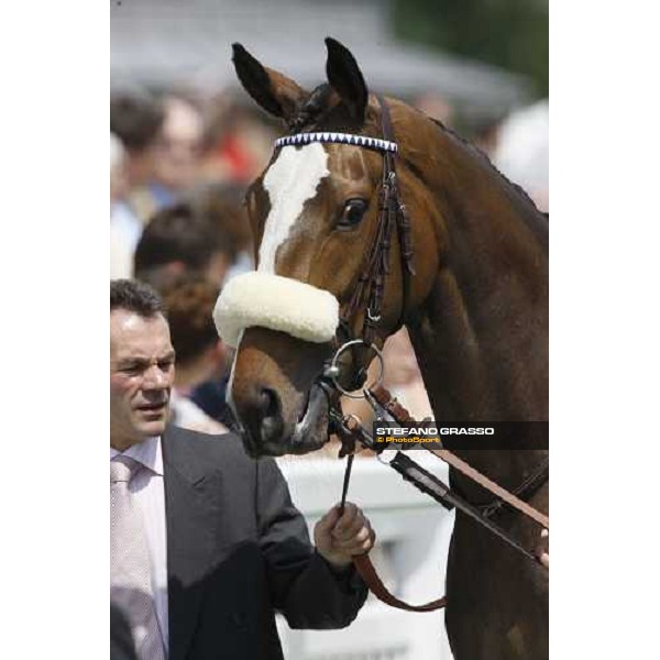 close up for Sub Rose winner of Prix de Royaumont Paris Chantilly, 1st june 2008 ph. Stefano Grasso