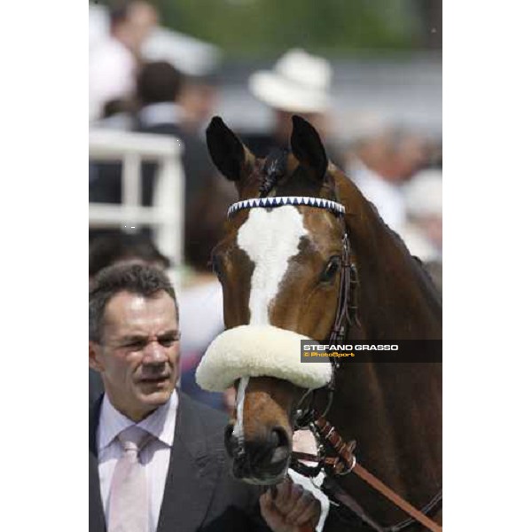 close up for Sub Rose winner of Prix de Royaumont Paris Chantilly, 1st june 2008 ph. Stefano Grasso