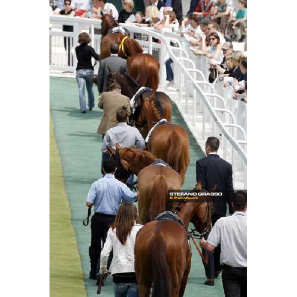 horses parading at Chantilly before the race Paris Chantilly, 1st june 2008 ph. Stefano Grasso
