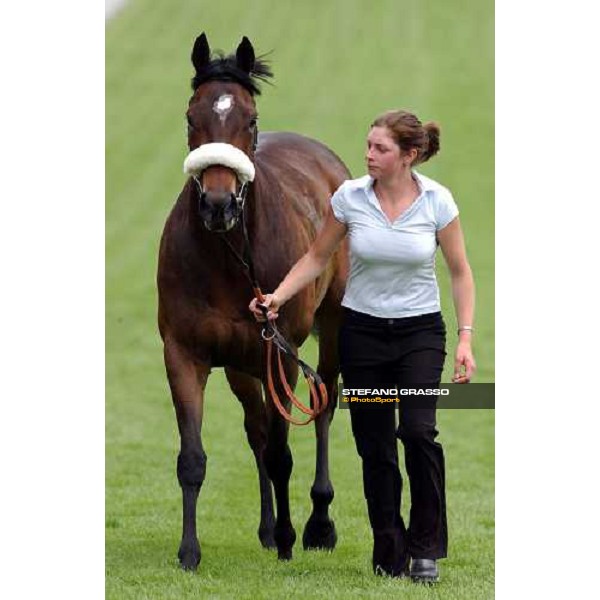 Forever Phoenix with her groom The Vodafone Oaks Espom 4th june 2004 ph. Stefano Grasso