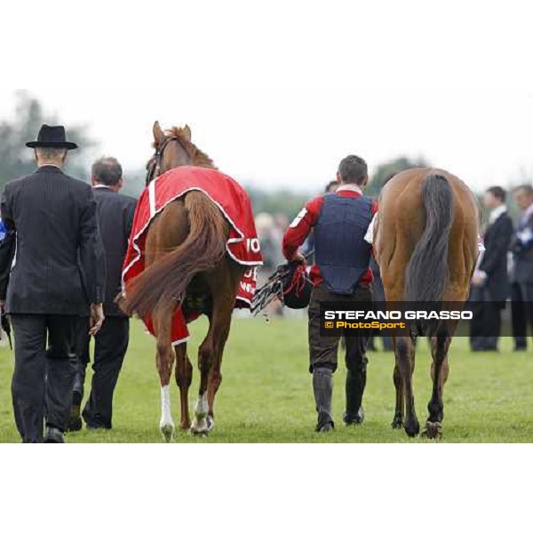 New Approach returns to the stable after winning the Vodafone Derby Epsom, 7th june 2008 ph. Stefano Grasso