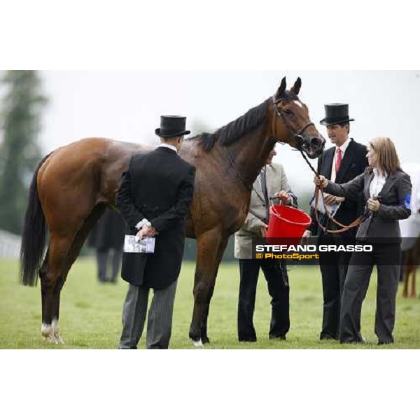 relax after the race at Epsom Epsom, 7th june 2008 ph. Stefano Grasso
