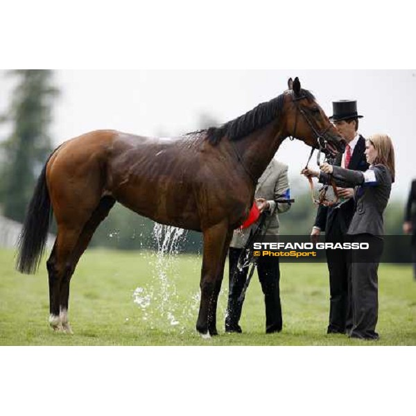 a shower after the race at Epsom Epsom, 7th june 2008 ph. Stefano Grasso