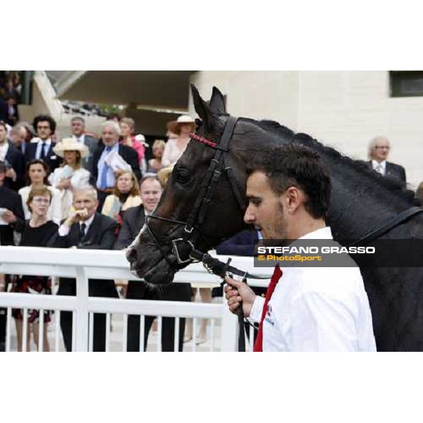Senlis walks with his lad after the 2nd place in the Prix Paul de Moussac Chantilly, 8th june 2008 ph. Stefano Grasso