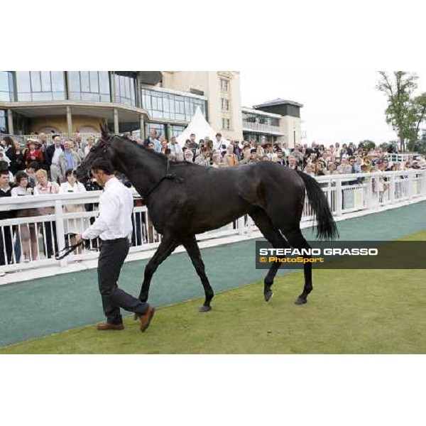 Senlis walks with his lad after the 2nd place in the Prix Paul de Moussac Chantilly, 8th june 2008 ph. Stefano Grasso