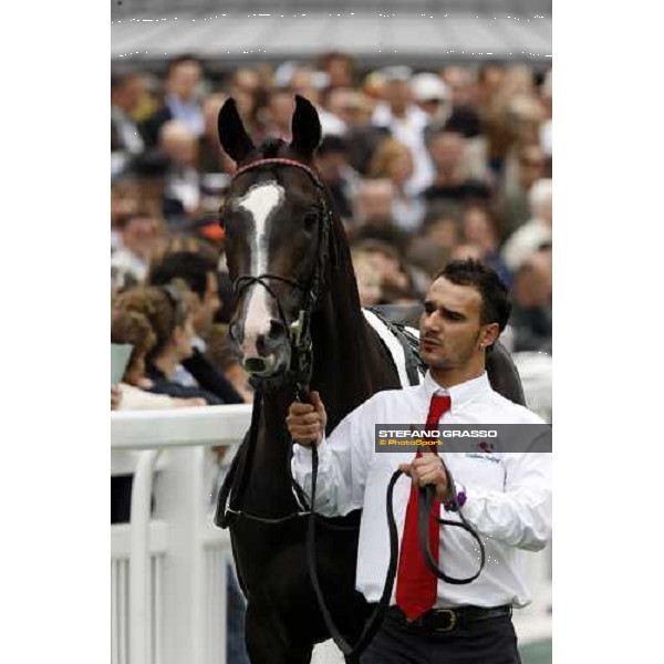 Senlis parades with his groom before to the start of Pric Paul de Moussac Chantilly, 8th june 2008 ph. Stefano Grasso