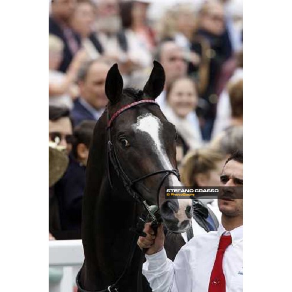Senlis parades with his groom before to the start of Pric Paul de Moussac Chantilly, 8th june 2008 ph. Stefano Grasso
